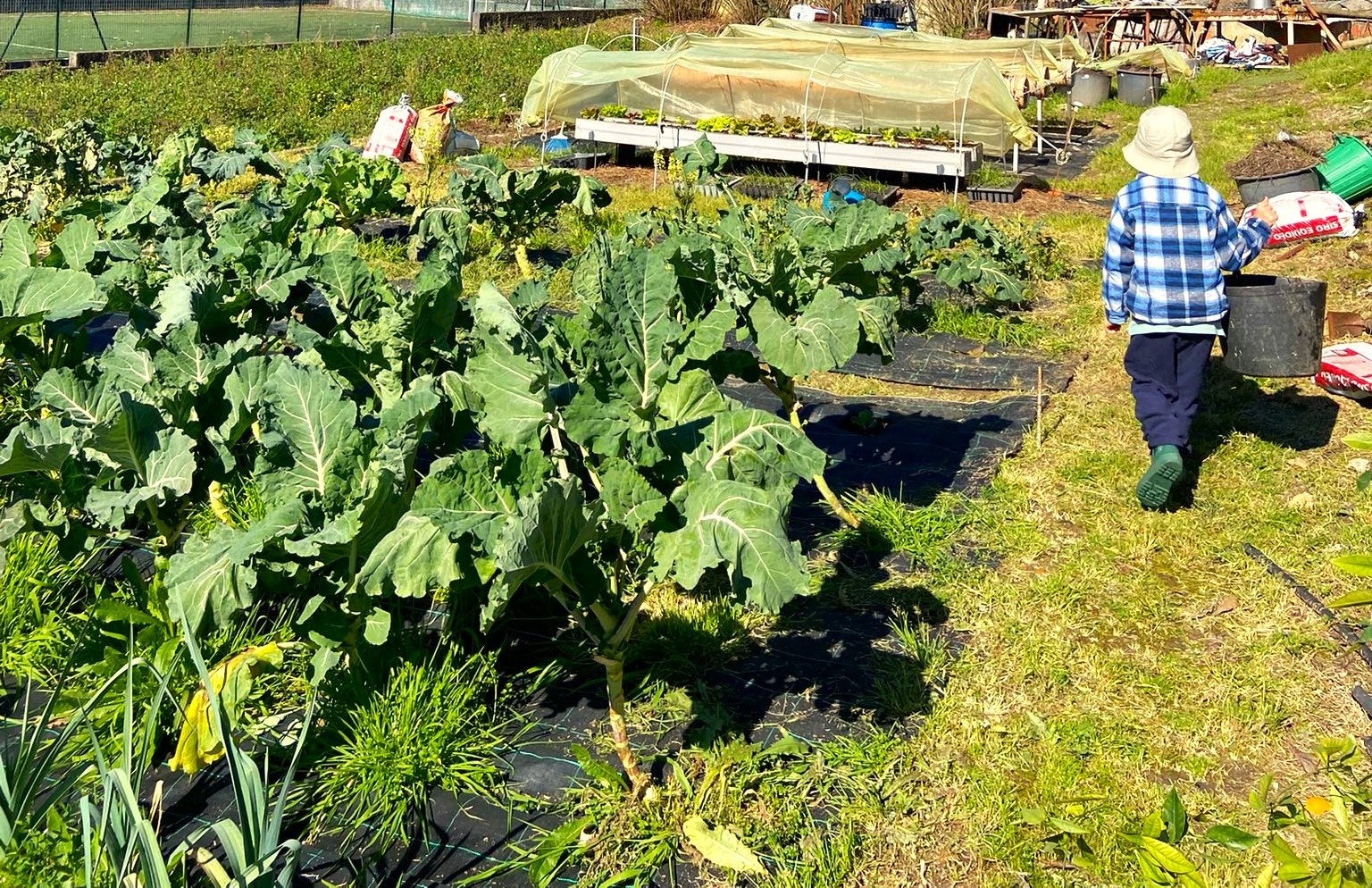 Aprender o tempo da terra